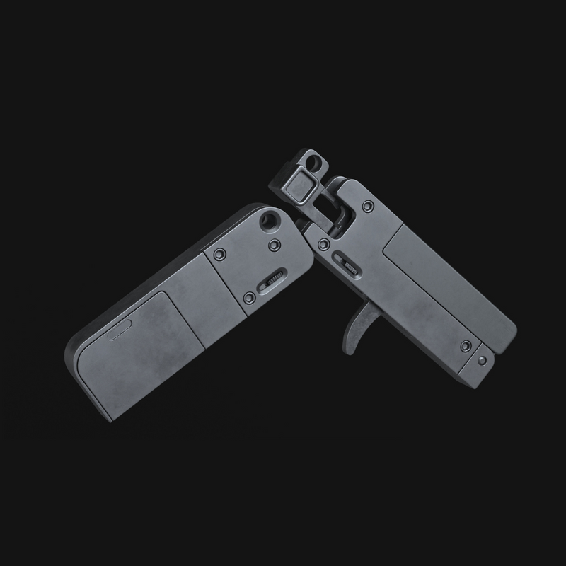 LifeCard .22